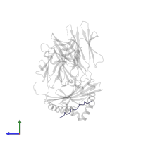 Hemagglutinin HA1 chain in PDB entry 3s4s, assembly 1, side view.