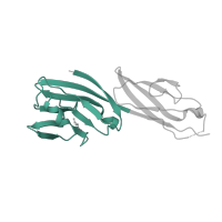 The deposited structure of PDB entry 3s5l contains 2 copies of Pfam domain PF00047 (Immunoglobulin domain) in T-cell surface glycoprotein CD4. Showing 1 copy in chain H.