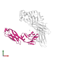 T-cell surface glycoprotein CD4 in PDB entry 3s5l, assembly 1, front view.