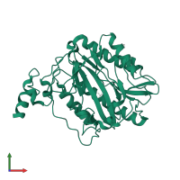 Methionine aminopeptidase 1b in PDB entry 3s6b, assembly 1, front view.