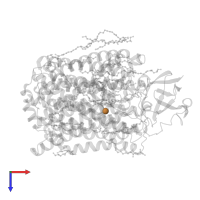 COPPER (II) ION in PDB entry 3s8g, assembly 1, top view.