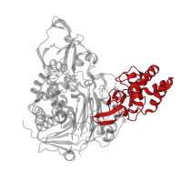 The deposited structure of PDB entry 3s8r contains 2 copies of CATH domain 1.10.1400.10 (Penicillin amidase (Acylase) alpha subunit, N-terminal domain) in Glutaryl-7-aminocephalosporanic-acid acylase. Showing 1 copy in chain B.