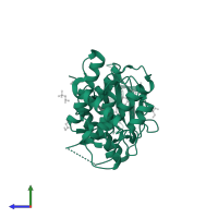 LIM domain kinase 1 in PDB entry 3s95, assembly 2, side view.