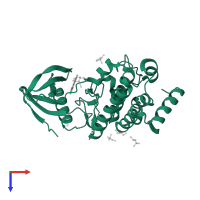 LIM domain kinase 1 in PDB entry 3s95, assembly 2, top view.