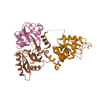 The deposited structure of PDB entry 3s9n contains 6 copies of CATH domain 3.40.190.10 (D-Maltodextrin-Binding Protein; domain 2) in Serotransferrin. Showing 3 copies in chain C.