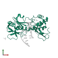 Formamidopyrimidine-DNA glycosylase in PDB entry 3sat, assembly 1, front view.