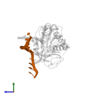 5'-D(*AP*GP*G*TP*AP*GP*AP*CP*CP*AP*GP*GP*AP*CP*GP*C)-3' in PDB entry 3sat, assembly 1, side view.