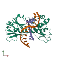 PDB entry 3saw coloured by chain, front view.