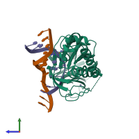 PDB entry 3saw coloured by chain, side view.