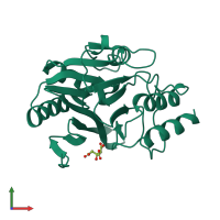 PDB entry 3sbl coloured by chain, front view.