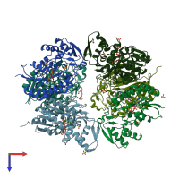 PDB entry 3sc6 coloured by chain, top view.