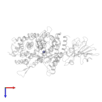 ZINC ION in PDB entry 3sck, assembly 1, top view.