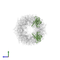 Proteasome subunit beta type-7 in PDB entry 3sdi, assembly 1, side view.