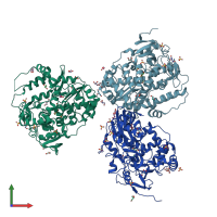 PDB entry 3sfu coloured by chain, front view.