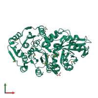 PDB entry 3sgg coloured by chain, front view.