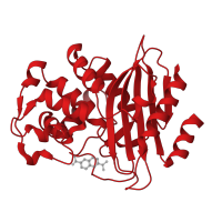 The deposited structure of PDB entry 3sh7 contains 2 copies of CATH domain 3.40.710.10 (Beta-lactamase) in Beta-lactamase. Showing 1 copy in chain A.