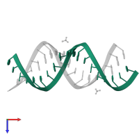 RNA (5'-R(*UP*UP*GP*GP*GP*CP*CP*GP*GP*CP*GP*GP*CP*GP*GP*GP*UP*CP*C)-3') in PDB entry 3sj2, assembly 1, top view.