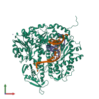 PDB entry 3sjj coloured by chain, front view.