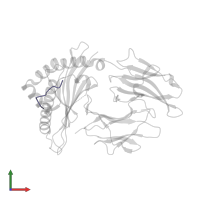 Epstein-Barr nuclear antigen 3 in PDB entry 3sko, assembly 1, front view.
