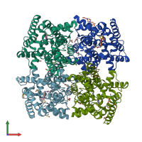 PDB entry 3sl6 coloured by chain, front view.