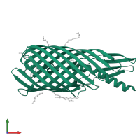 Autotransporter protein EspP translocator in PDB entry 3slo, assembly 1, front view.