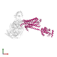 Beta-2 adrenergic receptor in PDB entry 3sn6, assembly 1, front view.