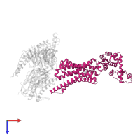 Beta-2 adrenergic receptor in PDB entry 3sn6, assembly 1, top view.