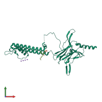 PDB entry 3spc coloured by chain, front view.