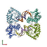 PDB entry 3spd coloured by chain, front view.