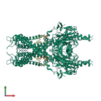 Homo tetrameric assembly 1 of PDB entry 3sph coloured by chemically distinct molecules, front view.