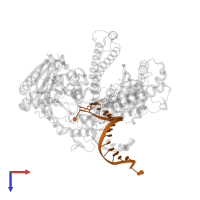 5'-D(P*CP*(2PR)P*TP*AP*AP*TP*TP*AP*AP*TP*TP*AP*AP*TP*TP*G)-3' in PDB entry 3sq2, assembly 1, top view.