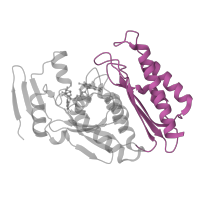 The deposited structure of PDB entry 3sr6 contains 2 copies of CATH domain 3.30.390.50 (Enolase-like; domain 1) in Xanthine dehydrogenase/oxidase. Showing 1 copy in chain B.