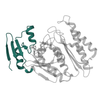 The deposited structure of PDB entry 3sr6 contains 2 copies of CATH domain 3.30.43.10 (Uridine Diphospho-n-acetylenolpyruvylglucosamine Reductase; domain 2) in Xanthine dehydrogenase/oxidase. Showing 1 copy in chain B.