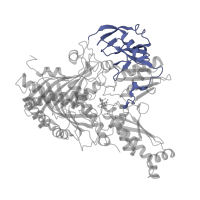 The deposited structure of PDB entry 3sr6 contains 2 copies of Pfam domain PF01315 (Aldehyde oxidase and xanthine dehydrogenase, a/b hammerhead domain) in Xanthine dehydrogenase/oxidase. Showing 1 copy in chain C.