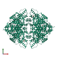 Homo tetrameric assembly 2 of PDB entry 3srf coloured by chemically distinct molecules, front view.