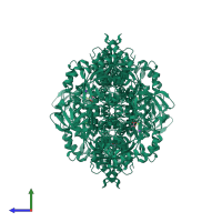 Homo tetrameric assembly 2 of PDB entry 3srf coloured by chemically distinct molecules, side view.