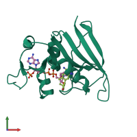 PDB entry 3srs coloured by chain, front view.