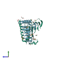 PDB entry 3srt coloured by chain, side view.