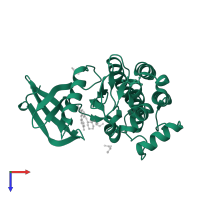 Tyrosine-protein kinase SYK in PDB entry 3srv, assembly 1, top view.