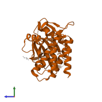 Tyrosine-protein kinase SYK in PDB entry 3srv, assembly 2, side view.