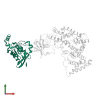Ras-related C3 botulinum toxin substrate 1 in PDB entry 3sua, assembly 1, front view.