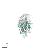 Ras-related C3 botulinum toxin substrate 1 in PDB entry 3sua, assembly 1, side view.