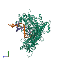 PDB entry 3sup coloured by chain, side view.