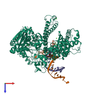 PDB entry 3sup coloured by chain, top view.