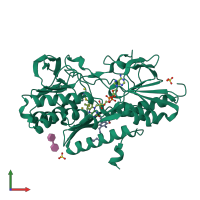 PDB entry 3sx6 coloured by chain, front view.