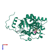 Monomeric assembly 1 of PDB entry 3sxg coloured by chemically distinct molecules, top view.