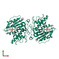 Homo dimeric assembly 2 of PDB entry 3sxg coloured by chemically distinct molecules, front view.