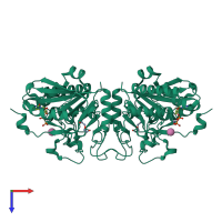 Homo dimeric assembly 2 of PDB entry 3sxg coloured by chemically distinct molecules, top view.