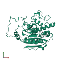 Fucosylglycoprotein alpha-N-acetylgalactosaminyltransferase soluble form in PDB entry 3sxg, assembly 1, front view.
