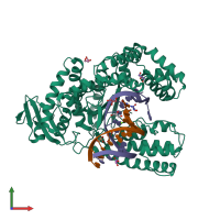 PDB entry 3syz coloured by chain, front view.